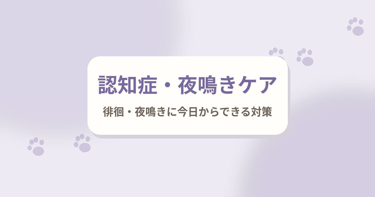 老犬の認知症のサインと、夜鳴き・徘徊に今日からできる対策｜サークル選びと家の中の安全づくり