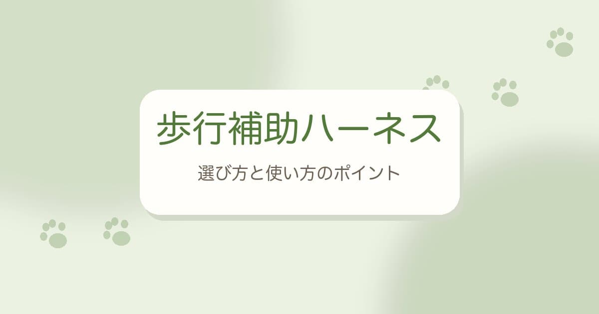 老犬の歩行補助ハーネスの選び方｜使いどきとサイズ・フィット感のチェックポイント