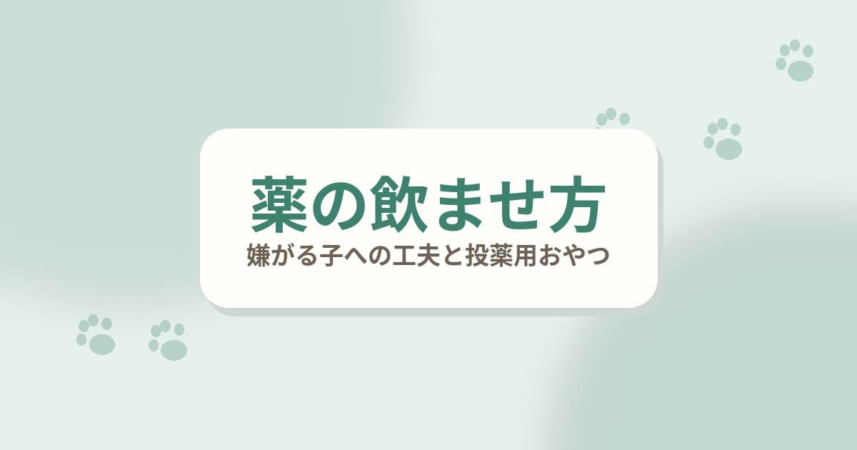 老犬に薬を上手に飲ませるコツ｜嫌がる子への工夫と、投薬用おやつ「ピルバディ」の使い方