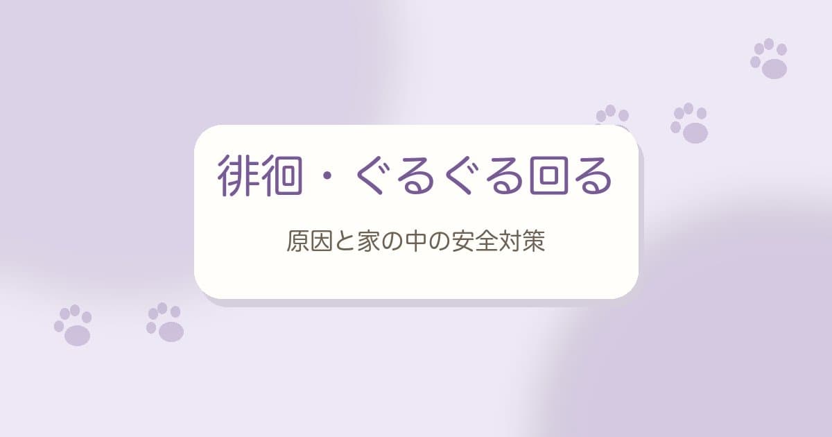 老犬が徘徊する・ぐるぐる回るときは｜考えられる原因と家の中の安全対策